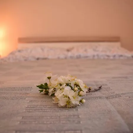 Vadszolo Apartman Balatonmáriafürdő Extérieur photo
